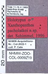 Etikett zu Ampedus probsti (Zeising & Sieg, 1992)